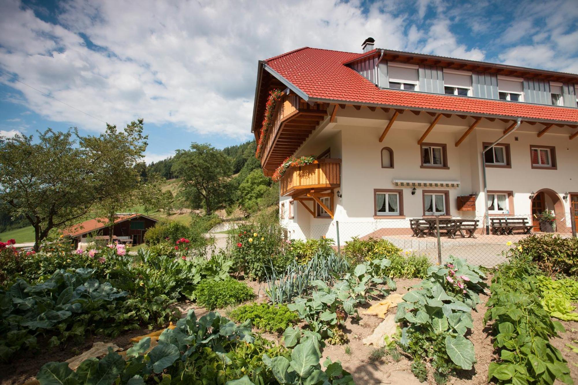 Schaetzlehof Hotel วินเดิน อิม เอลซ์ทาล ภายนอก รูปภาพ
