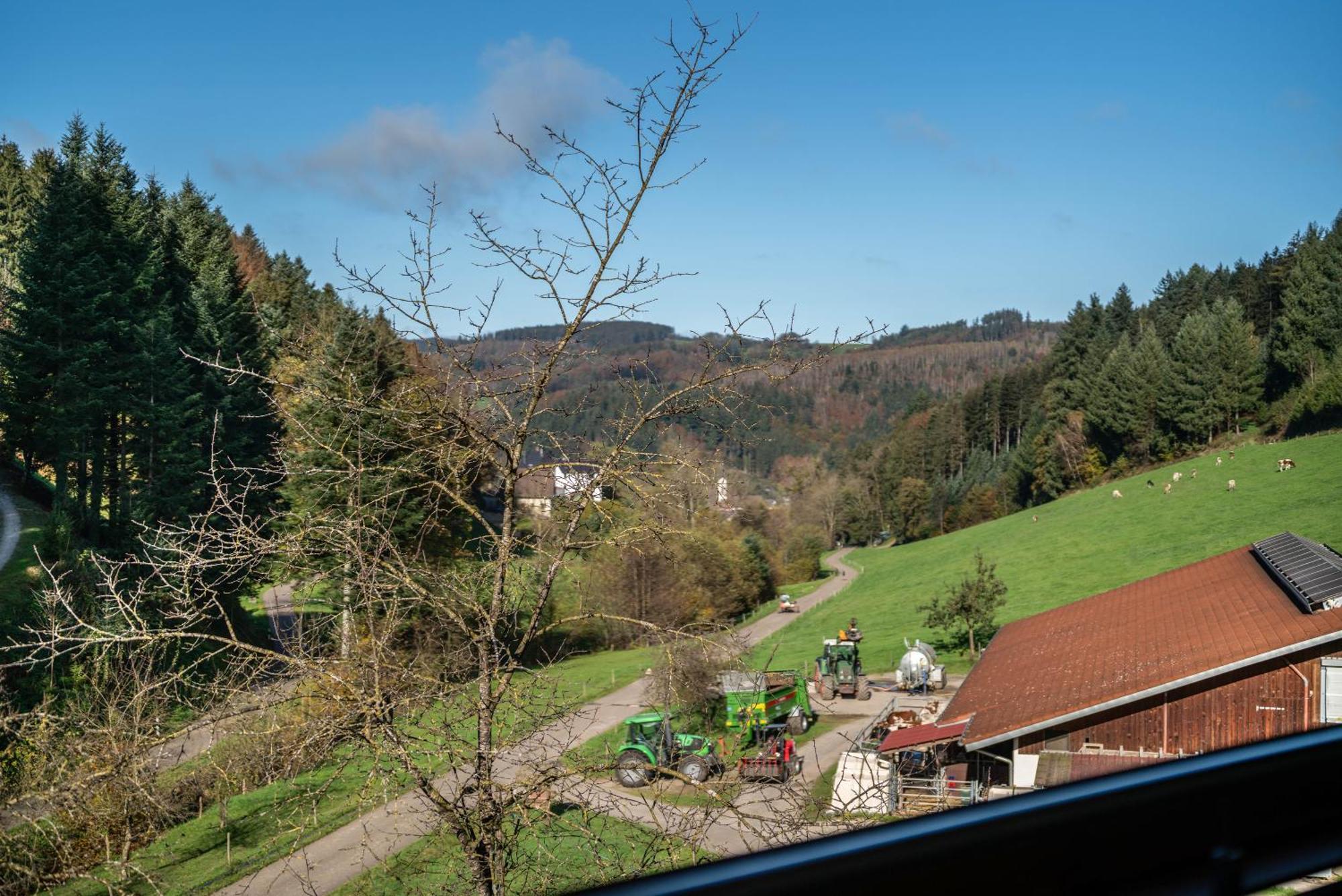 Schaetzlehof Hotel วินเดิน อิม เอลซ์ทาล ภายนอก รูปภาพ