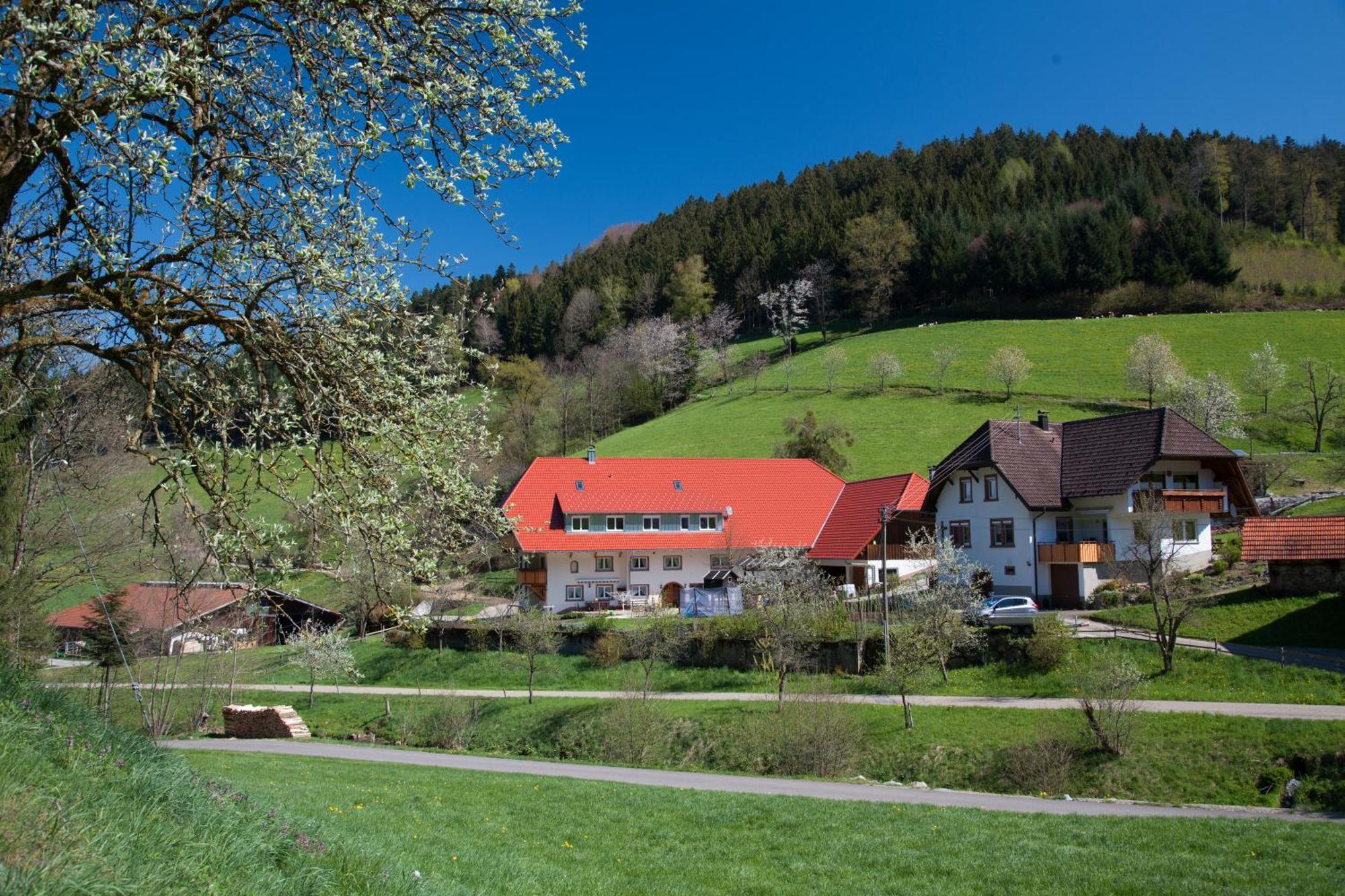 Schaetzlehof Hotel วินเดิน อิม เอลซ์ทาล ภายนอก รูปภาพ